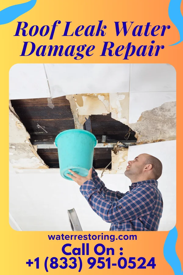 Roof Leak Water Damage Repair in Nectar, AL